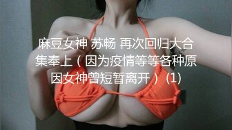 MIDE-366 女朋友的姐姐偷偷地诱惑我 秋山祥子