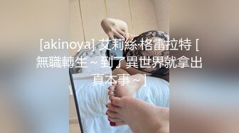 [akinoya] 艾莉絲·格雷拉特 [無職轉生～到了異世界就拿出真本事～]