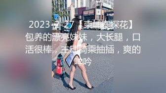 老婆在情趣内衣店勾引老板2