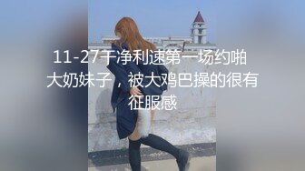 戀夜大胸美女與粉絲語音互動大尺度直播(VIP)