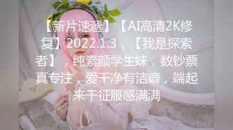 大奶老婆第一二季