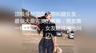 【极品反差眼镜嫩妹】高颜C罩杯眼镜反差嫩妹『九九』化身性奴小骚母狗 脸穴同框 期待哥哥的大肉棒进入到身体 (17)