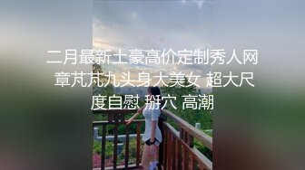 母亲的新男友1-李琼