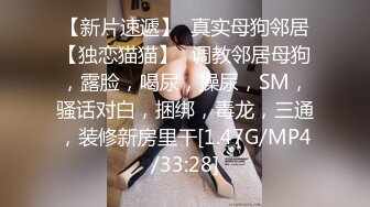 小烧妇自动打桩