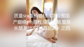 质量sm重磅题材《字母圈国产巅峰sm调教,强制高潮,窒息失禁,捆绑SP,工具玩弄》之四