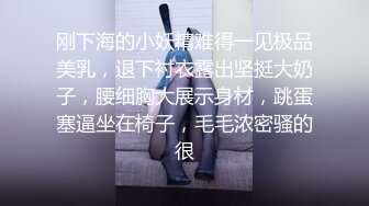 刚下海的小妖精难得一见极品美乳，退下衬衣露出坚挺大奶子，腰细胸大展示身材，跳蛋塞逼坐在椅子，毛毛浓密骚的很