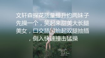 延边-苹果PLUS高清露脸拍摄，超高口技.带验证