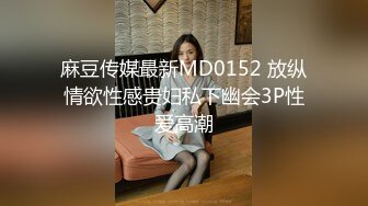 麻豆传媒最新MD0152 放纵情欲性感贵妇私下幽会3P性爱高潮