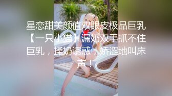 星恋甜美颜值双眼皮极品巨乳【一只小猫】漏奶双手抓不住巨乳，揉奶诱惑，娇涩地叫床声！