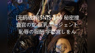 [无码破解]SNIS-166 秘密捜査官の女 巨乳エージェント恥辱の報酬 宇都宮しをん