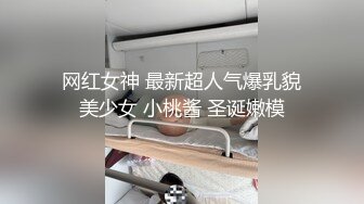 麻豆传媒最新性爱游戏系列-鲍鱼游戏之吸舔碰糖 极品巨乳女神的淫乱游戏性体验