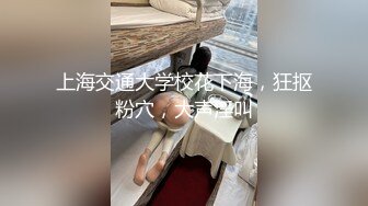 乳と尻とクビレが凄すぎて雇った極上肉体メイド 水野朝陽