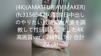 (4K)(AMATEUR AV MAKER)(fc3156942)ら危険日中出しのやりたい放題美人人妻を調教して性玩具化しました4K高画質ver（2時間19分 合計22 (3)