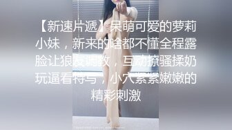 【锅锅酱】沙发后入美乳骚锅锅