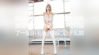 【麻豆传媒】MD0092-主仆越戒 唯爱挑性爱欲缠绵