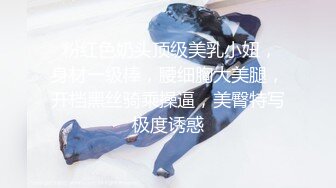 2024年新流出极品人妻【羞羞的露】取外卖假装衣服掉了酒店走廊，野外裸体，胆子超大超刺激，推荐！