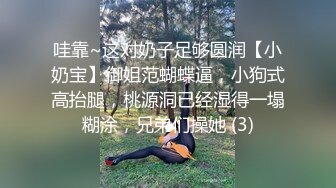 哇靠~这对奶子足够圆润【小奶宝】御姐范蝴蝶逼，小狗式高抬腿，桃源洞已经湿得一塌糊涂，兄弟们操她 (3)