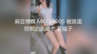 NMC-023(41NMC00023)[H.M.P]美脚OL・引き裂かれたパンスト