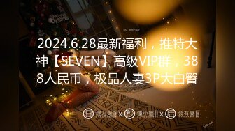 2024.6.28最新福利，推特大神【SEVEN】高级VIP群，388人民币，极品人妻3P大白臀