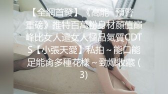 高价良家云盘流出，【beauty】(下)，极品反差女友，白富美完美女神，做爱视频上下皆粉 (1)