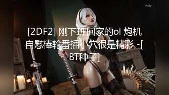 [2DF2] 刚下班回家的ol 炮机自慰棒轮番插小穴很是精彩 -[BT种子]