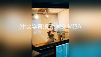 (中文字幕)東京￥交 MISA