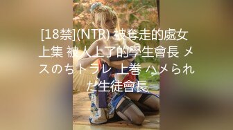 [18禁](NTR) 被奪走的處女 上集 被人上了的學生會長 メスのちトラレ 上巻 ハメられた生徒會長