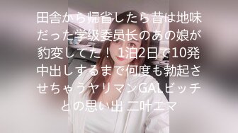 田舎から帰省したら昔は地味だった学级委员长のあの娘が豹変してた！ 1泊2日で10発中出しするまで何度も勃起させちゃうヤリマンGALビッチとの思い出 二叶エマ